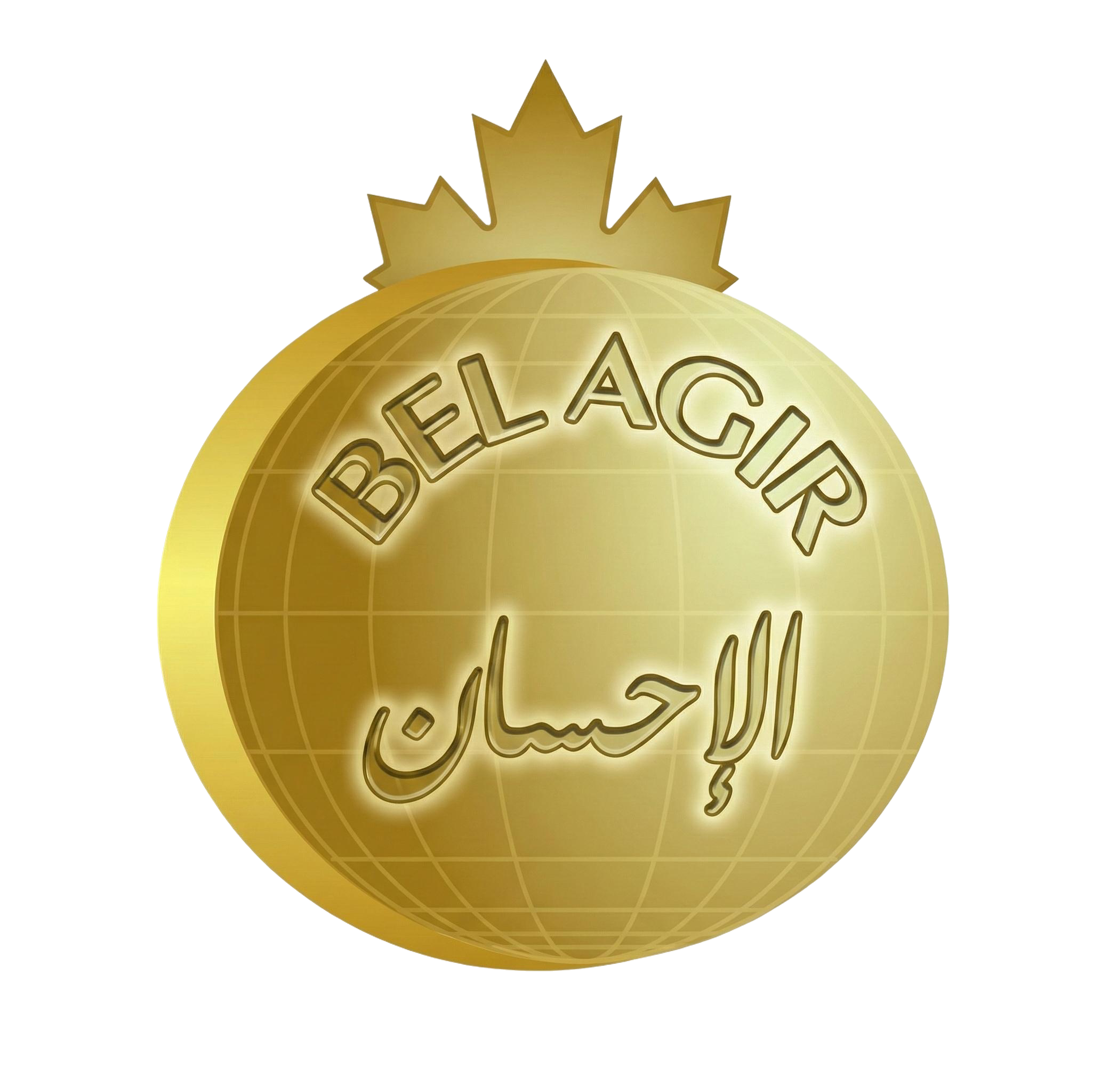 Logo Alihsane